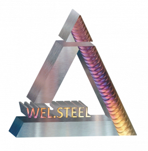 лого-web